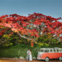 Noosa wedding photographers